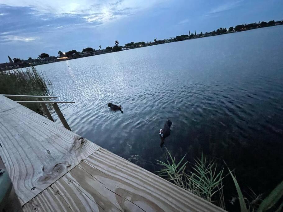 Supervilla - Lakefront - Sunsets, Kayaks, Grill Fort Lauderdale Dış mekan fotoğraf
